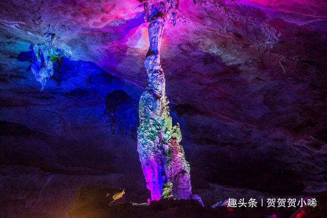虫虫助手下载